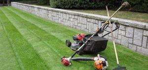 azaleas to zinnias baltimore Landscaping
