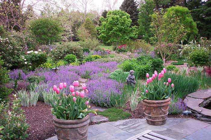 Azaleas to Zinnias Landscaping
