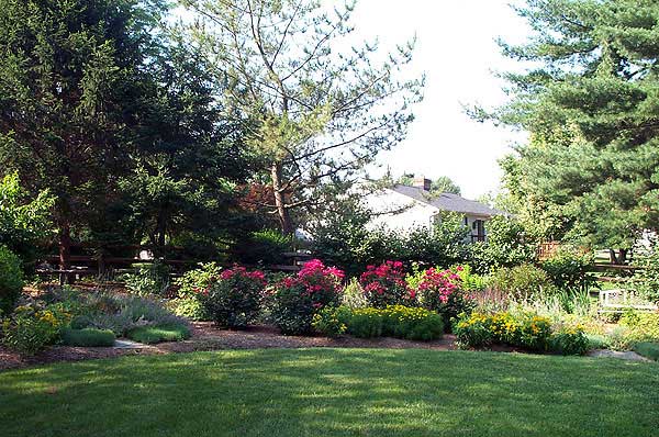 Azaleas to Zinnias Landscaping