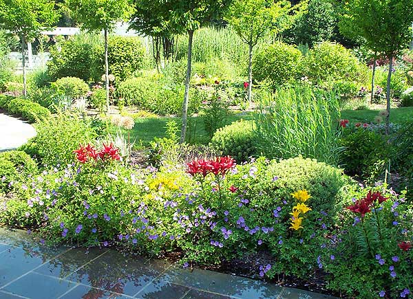 Azaleas to Zinnias Landscaping