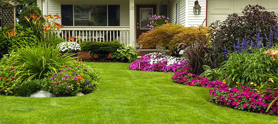 azaleas to zinnias baltimore Landscaping