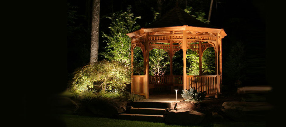 azaleas to zinnias baltimore Landscaping