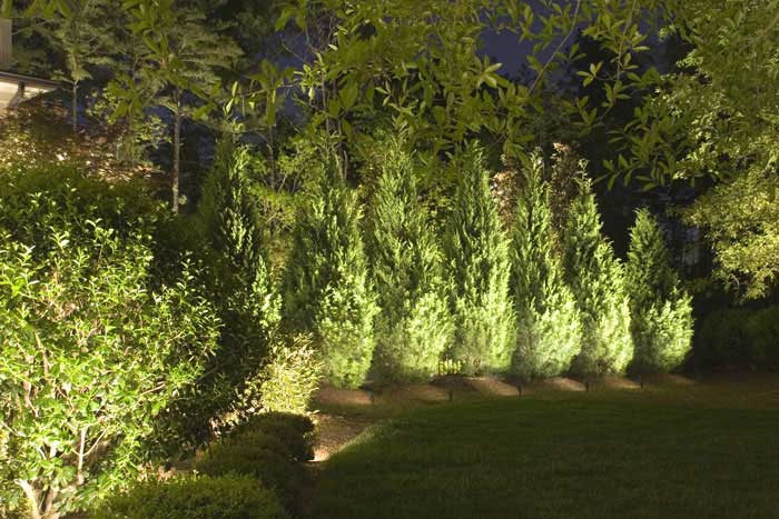 Azaleas to Zinnias Landscaping