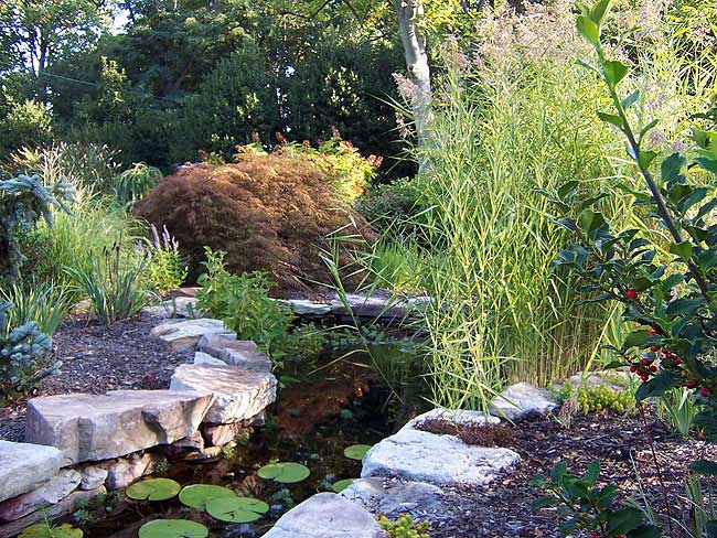 Azaleas to Zinnias Landscaping