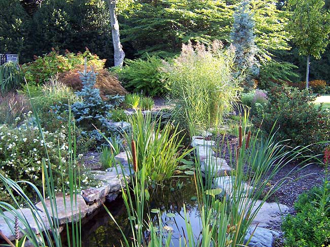 Azaleas to Zinnias Landscaping